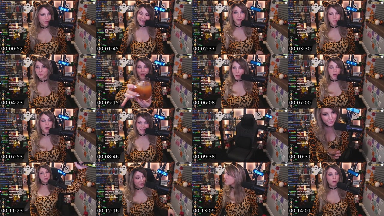 Contact-sheet preview of Hot_Ann_Streamy's Twitch recording