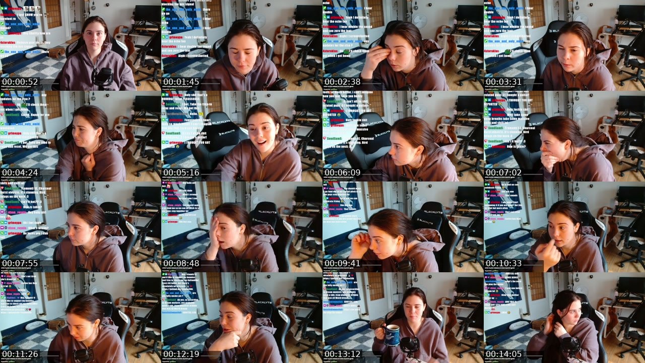 Contact-sheet preview of chickshnitty's Twitch recording