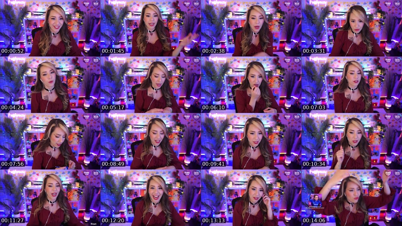 Contact-sheet preview of Fuzhpuzy's Twitch recording
