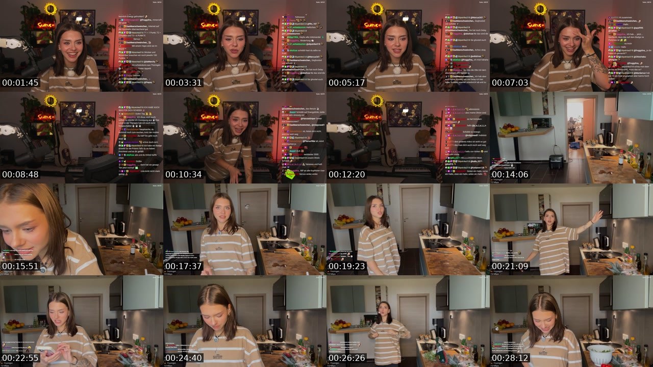 Contact-sheet preview of schiddii's Twitch recording