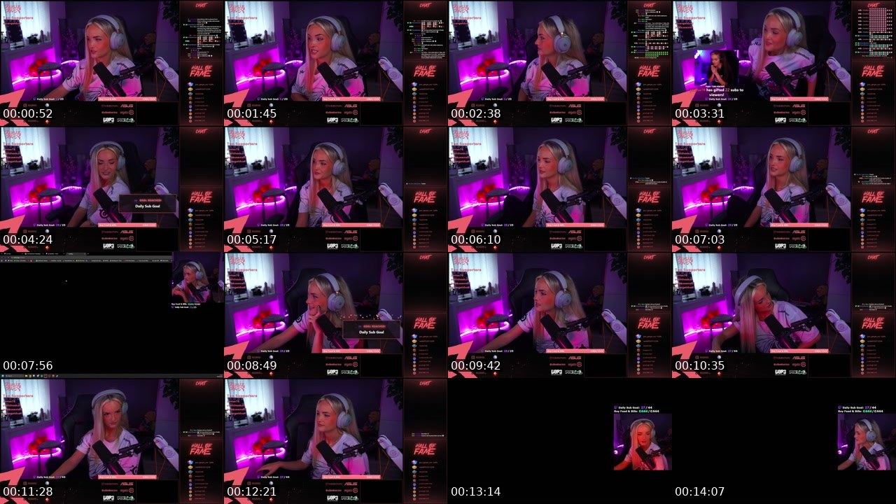 Contact-sheet preview of RosieRiver's Twitch recording