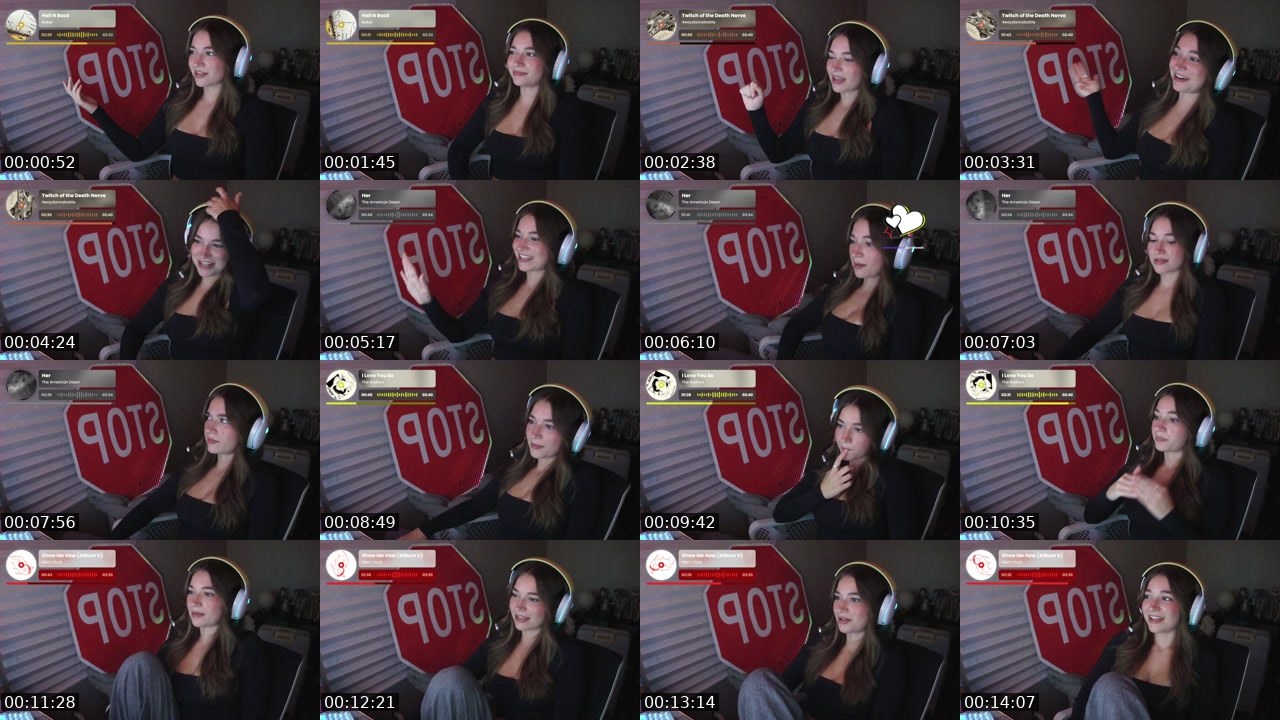 Contact-sheet preview of briiikayyy's Twitch recording