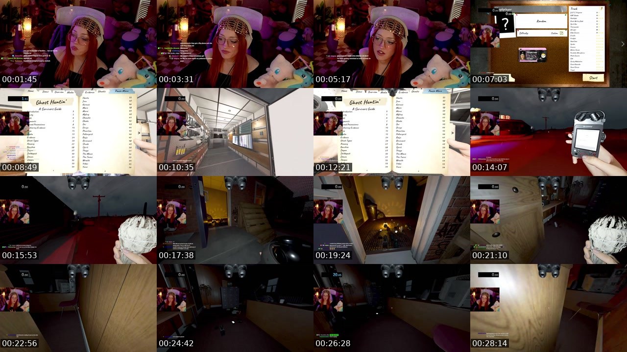 Contact-sheet preview of twigbot_'s Twitch recording