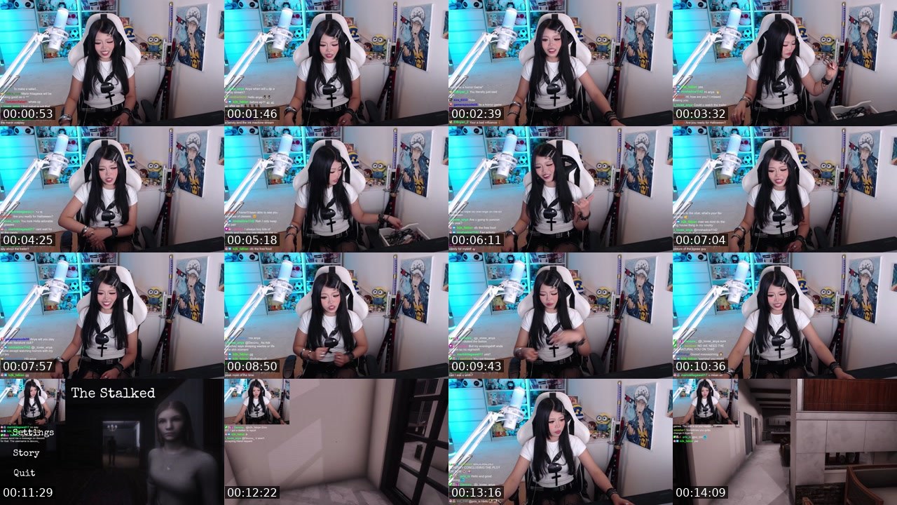 Contact-sheet preview of anyamochi's Twitch recording