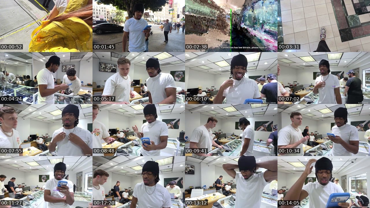 Contact-sheet preview of drxidz's Twitch recording
