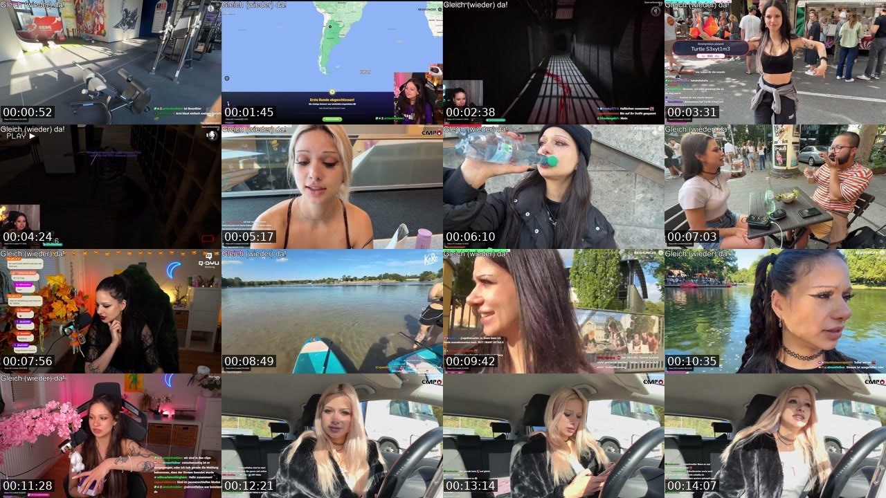 Contact-sheet preview of almostfeline's Twitch recording