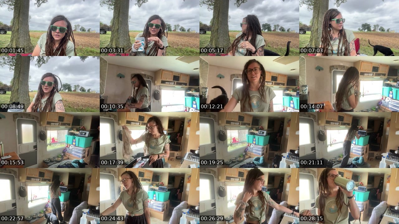 Contact-sheet preview of AlyssaWilds's Twitch recording