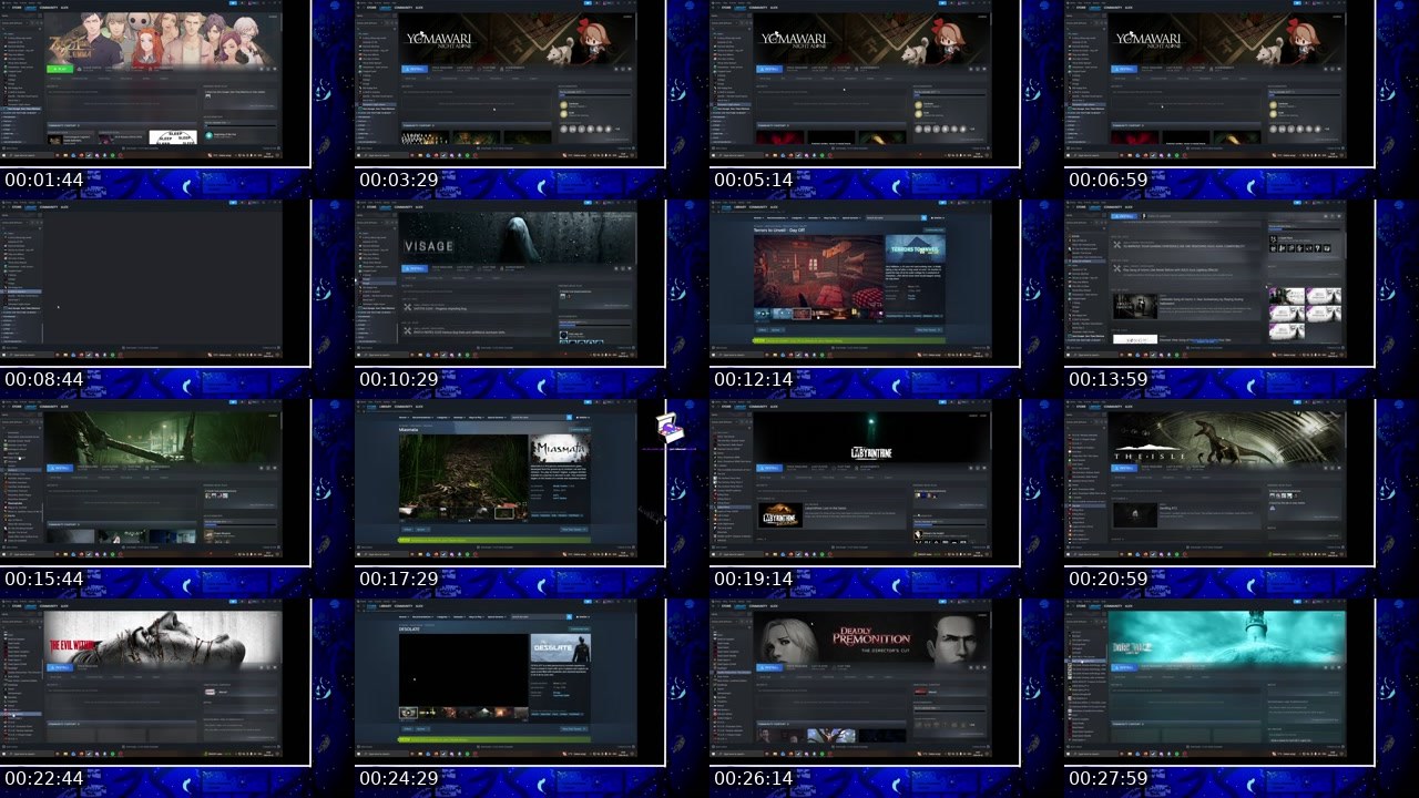Contact-sheet preview of xerynether's Twitch recording