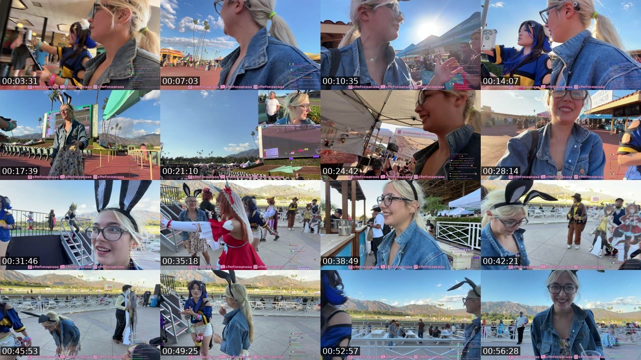 Contact-sheet preview of chelseayea's Twitch recording
