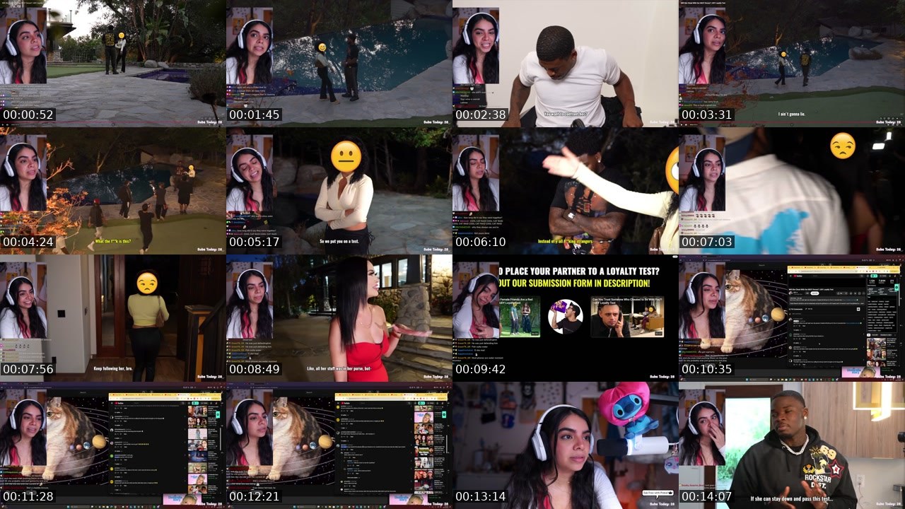Contact-sheet preview of Skaiday's Twitch recording