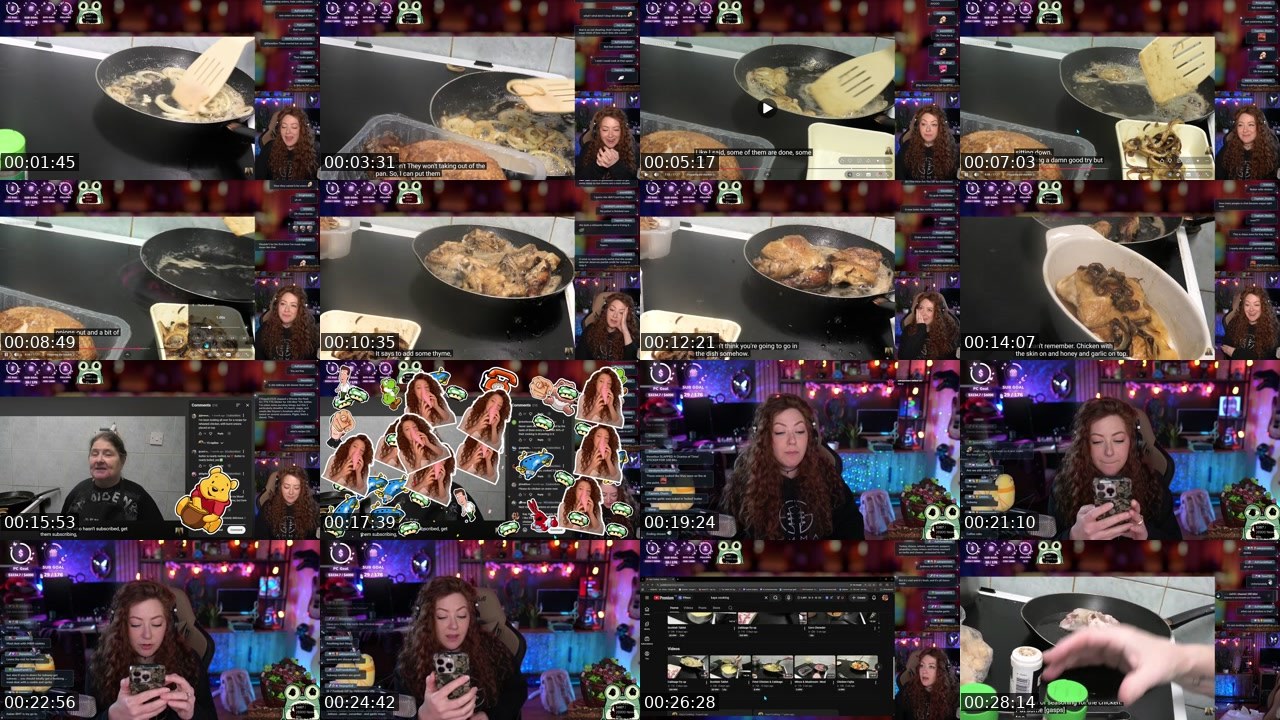 Contact-sheet preview of EmmaGracelesss's Twitch recording