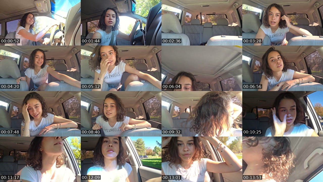 Contact-sheet preview of ZoesNotCrazy's Twitch recording