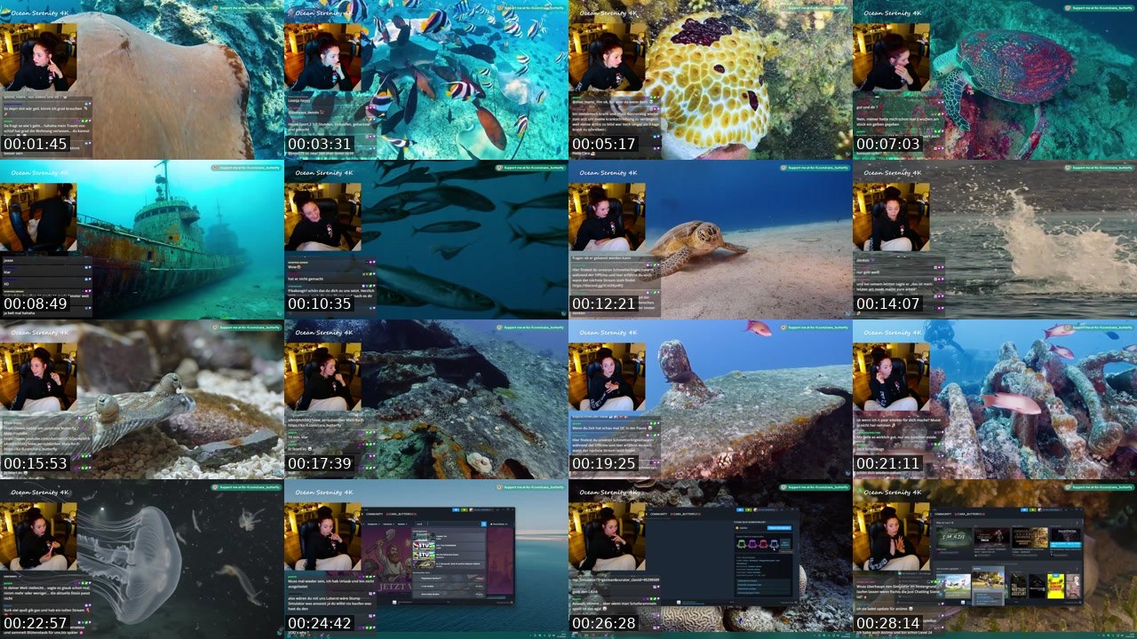 Contact-sheet preview of cara_butterfly's Twitch recording