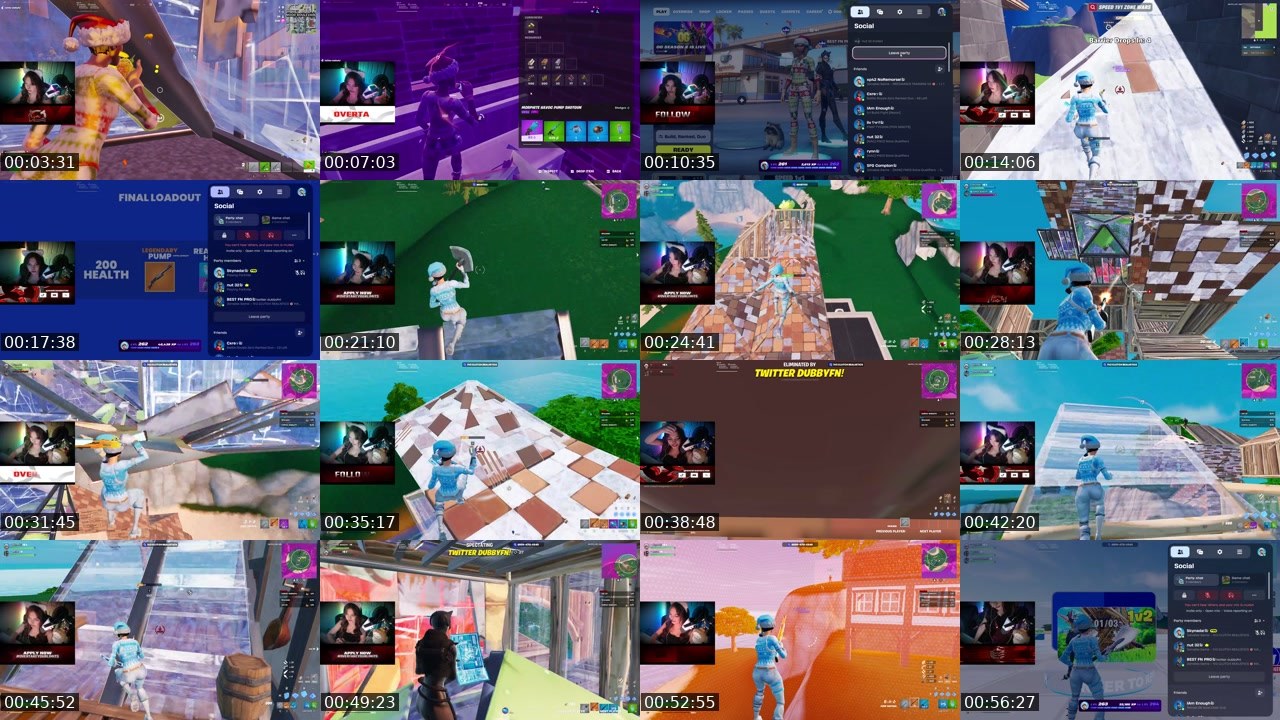 Contact-sheet preview of skynadaa_'s Twitch recording