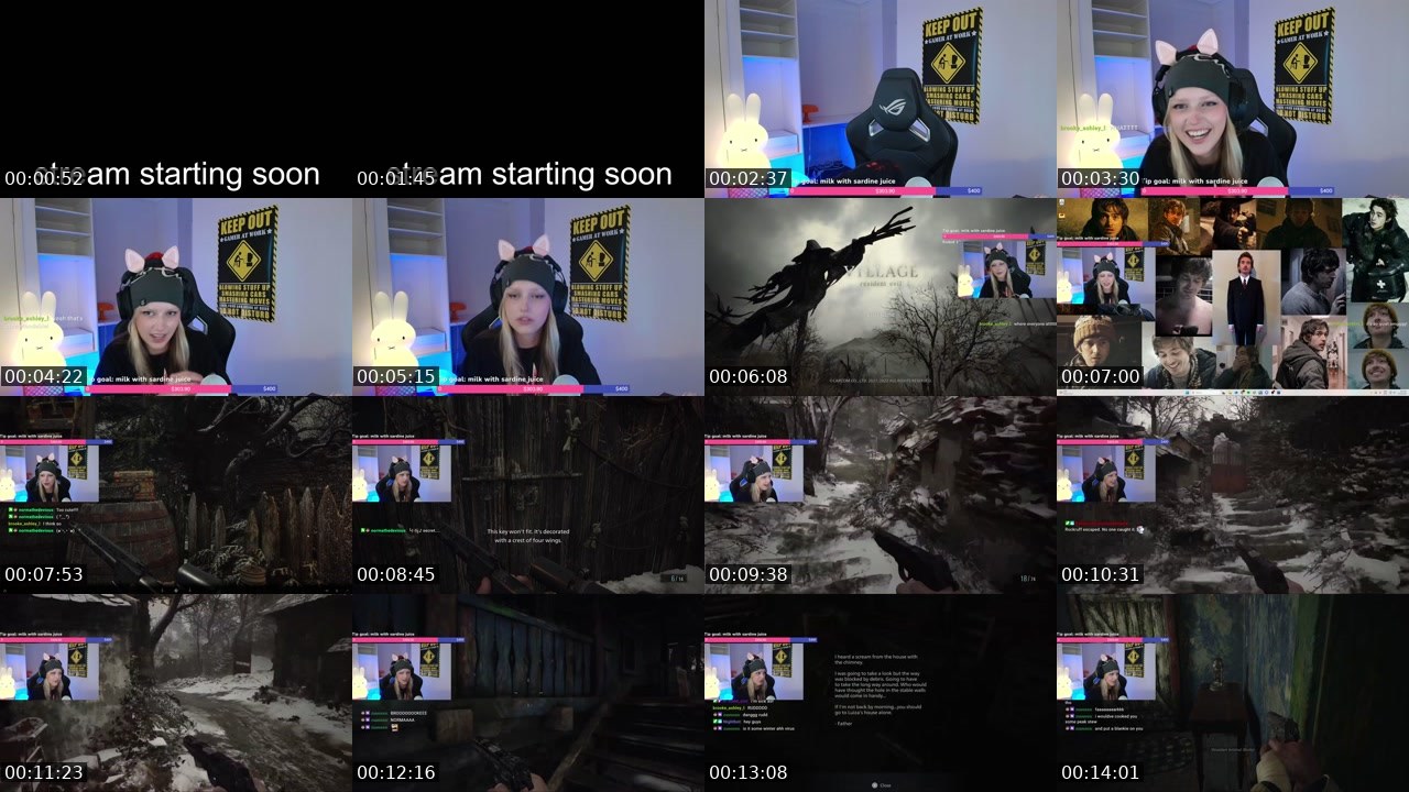 Contact-sheet preview of banonborfTV's Twitch recording