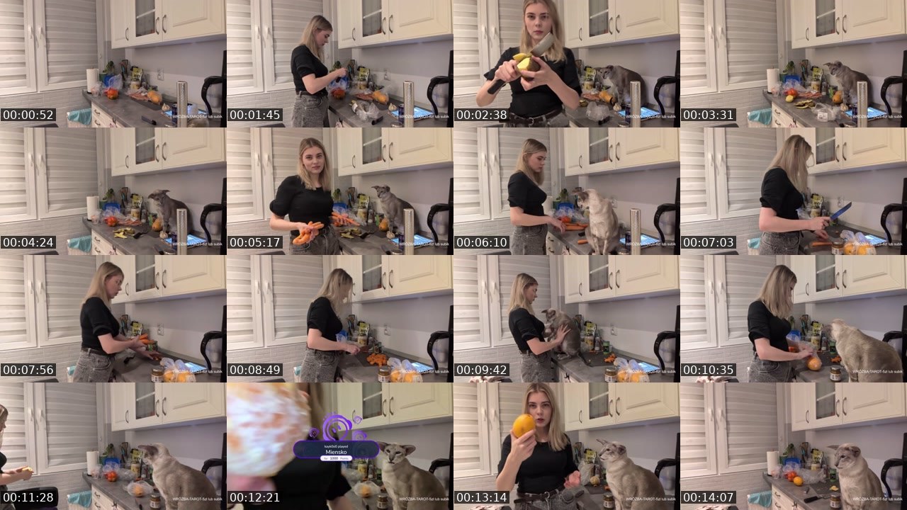 Contact-sheet preview of tygrysicaaa's Twitch recording