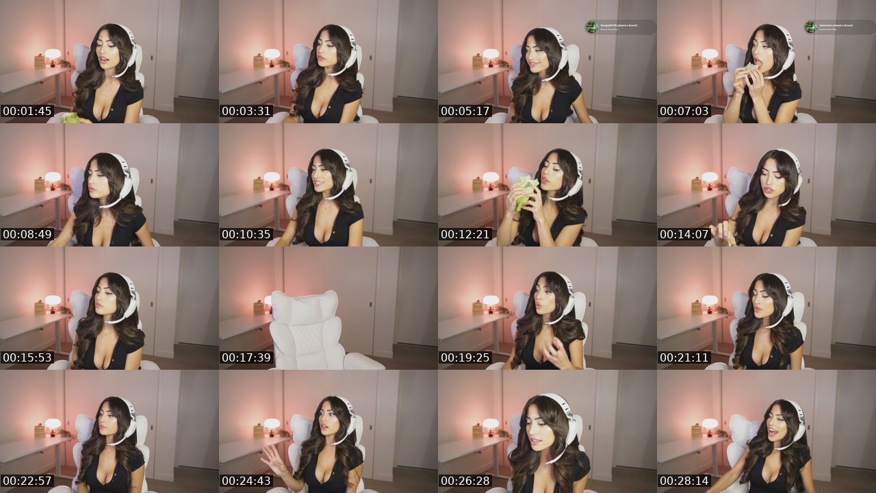 Contact-sheet preview of ehcico's Twitch recording