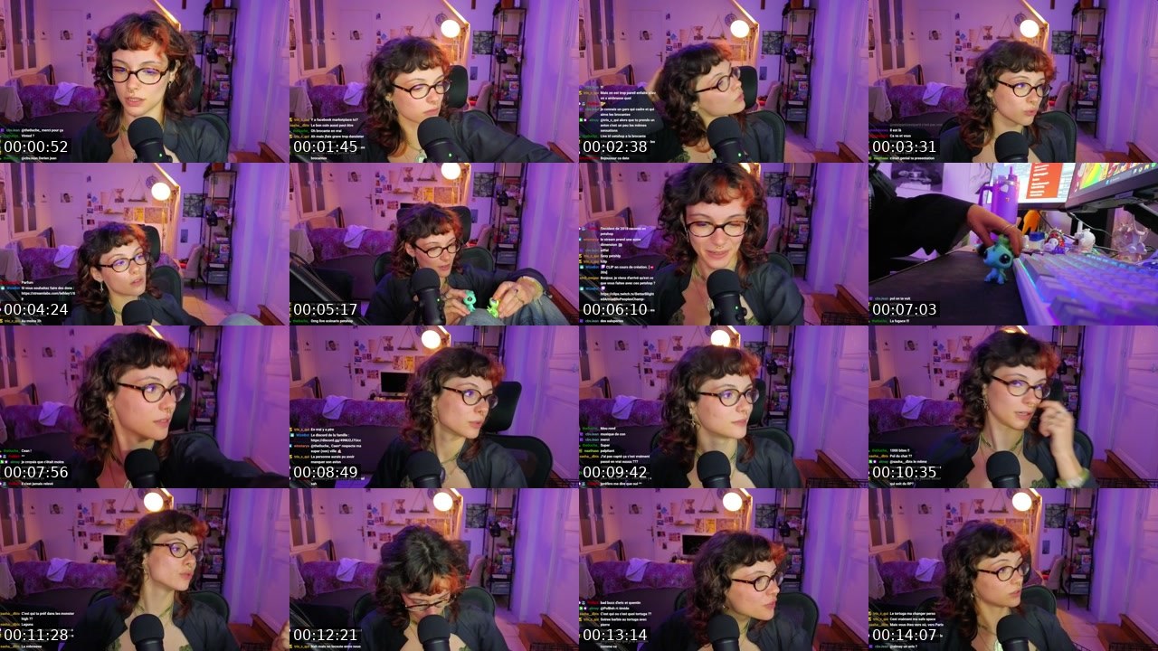 Contact-sheet preview of leihley's Twitch recording