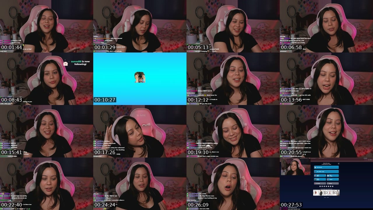 Contact-sheet preview of belflower_'s Twitch recording