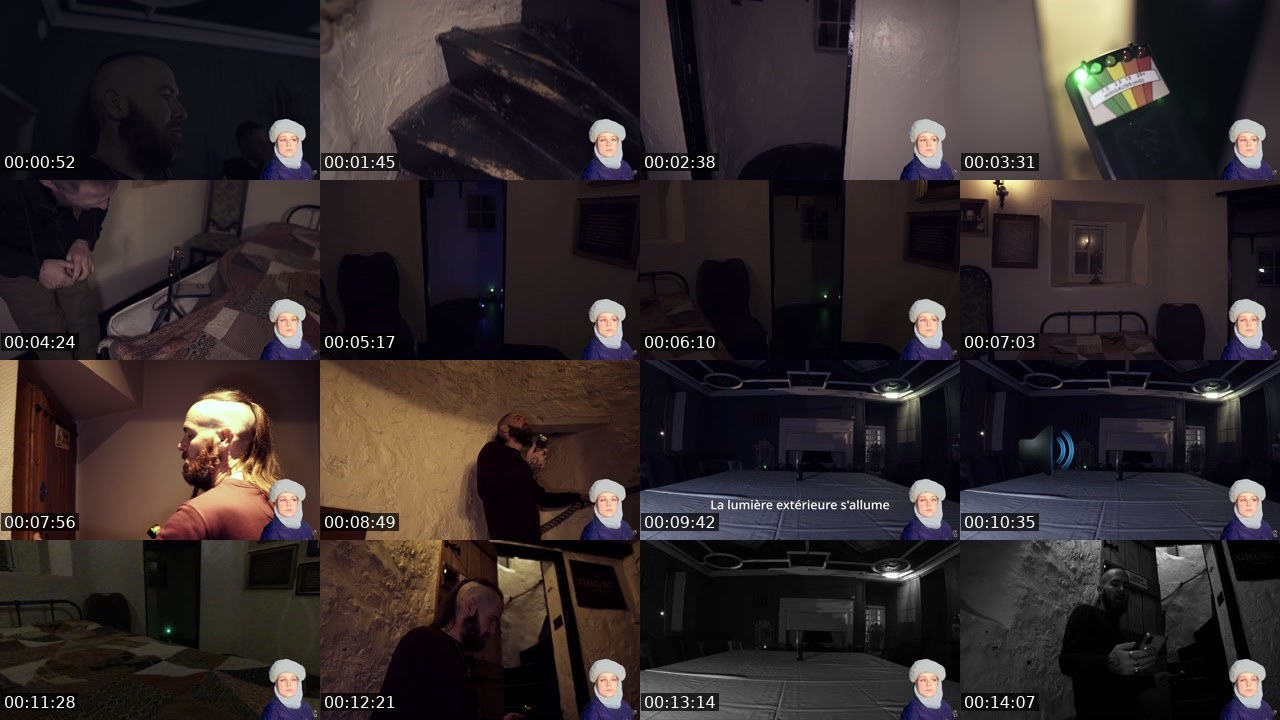 Contact-sheet preview of Dodie___'s Twitch recording