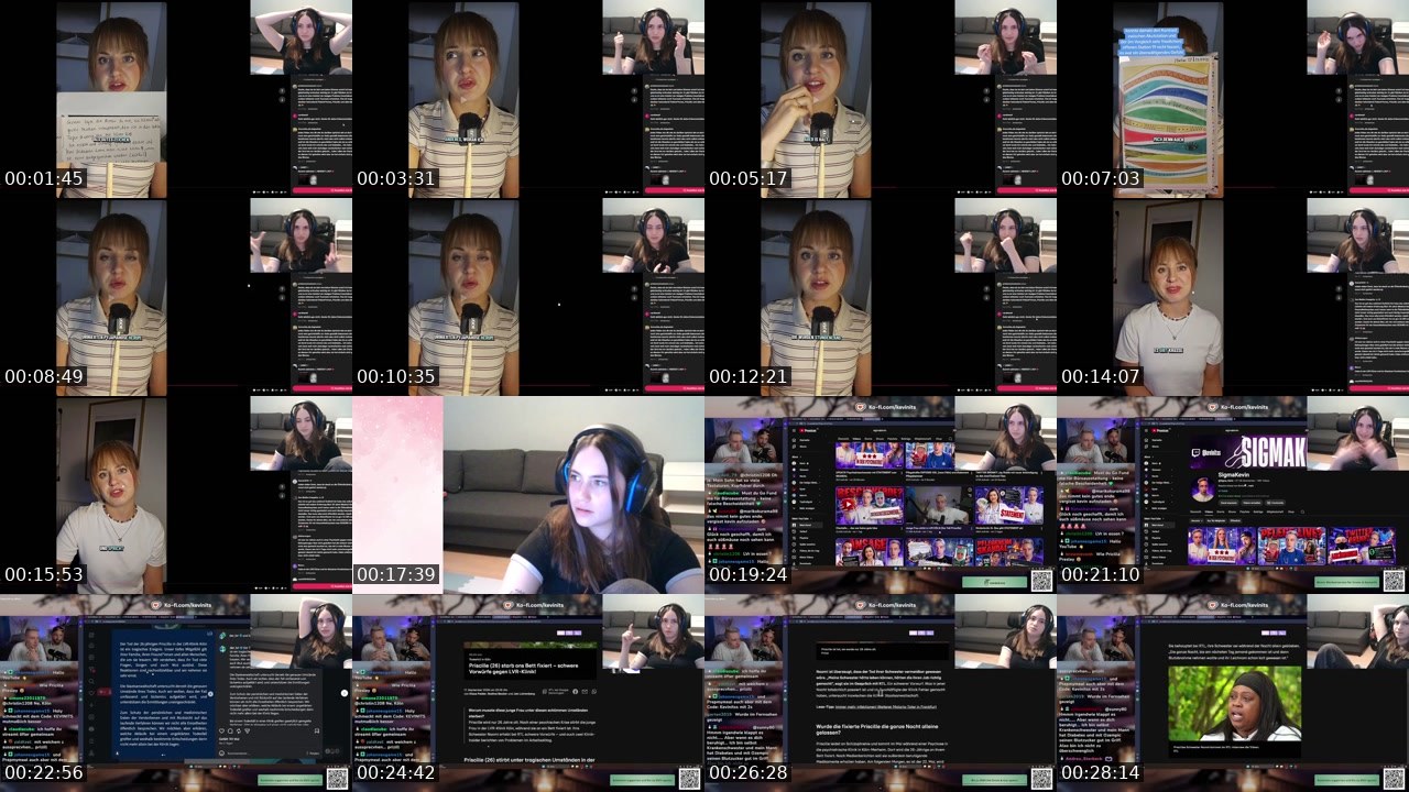 Contact-sheet preview of leiluuuuu's Twitch recording