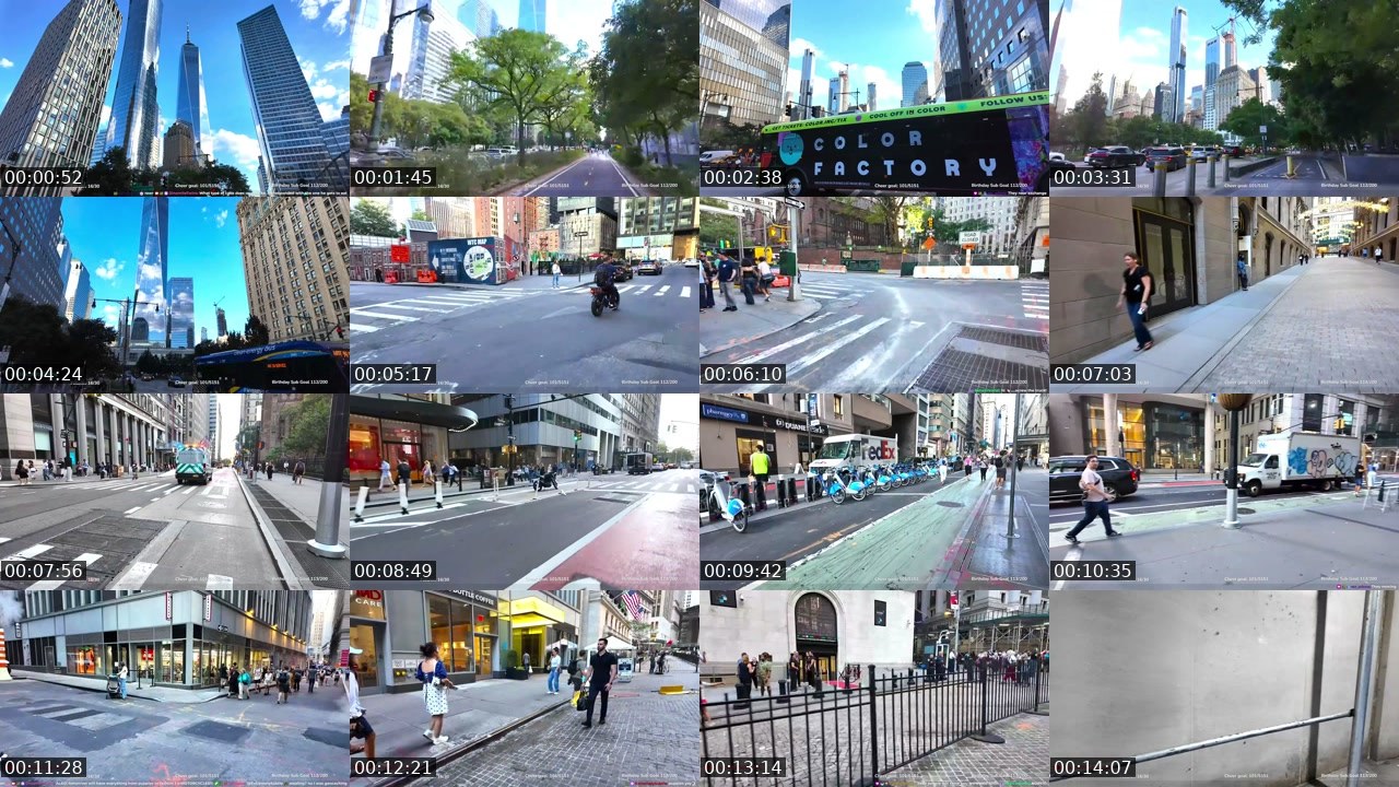 Contact-sheet preview of DinomiteTwins's Twitch recording