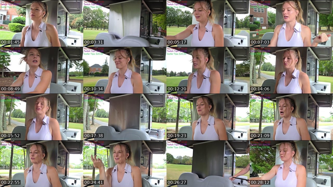 Contact-sheet preview of alison_ace's Twitch recording