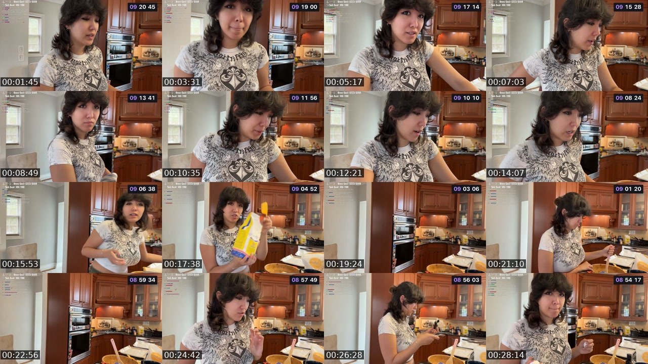 Contact-sheet preview of SalamiGal's Twitch recording