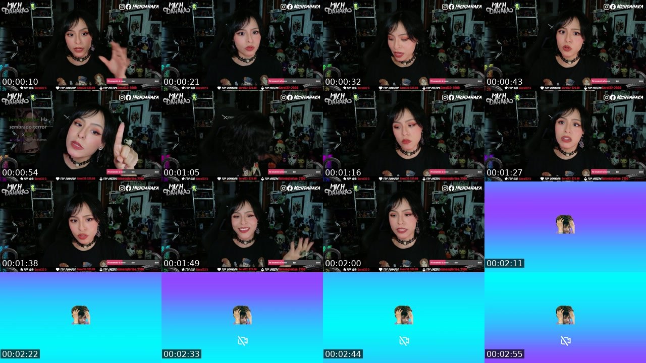 Contact-sheet preview of Michdahaka's Twitch recording