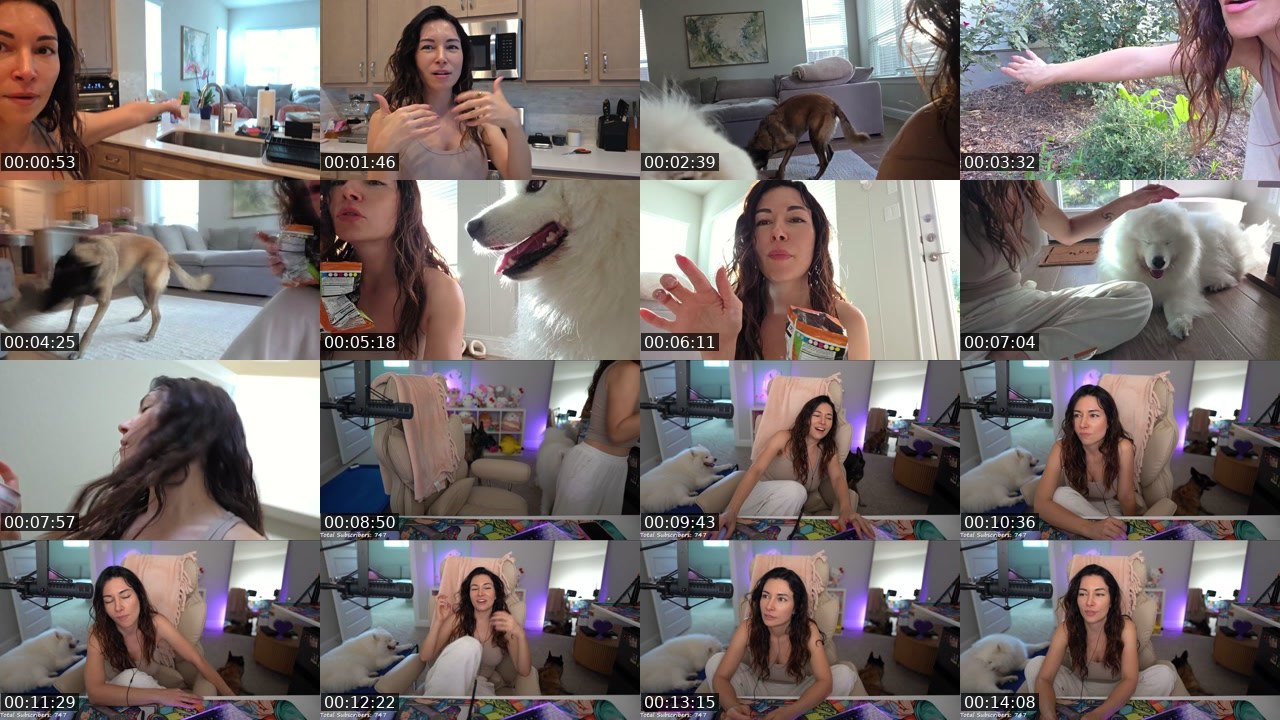 Contact-sheet preview of Alinity's Twitch recording
