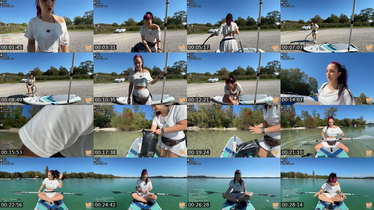 Contact-sheet preview of Wandella's Twitch recording