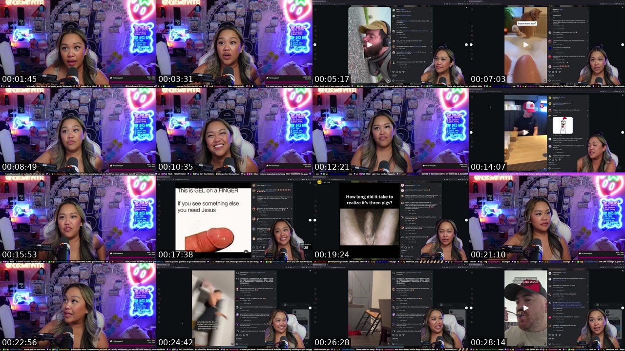 Contact-sheet preview of NoBSwithAnna's Twitch recording