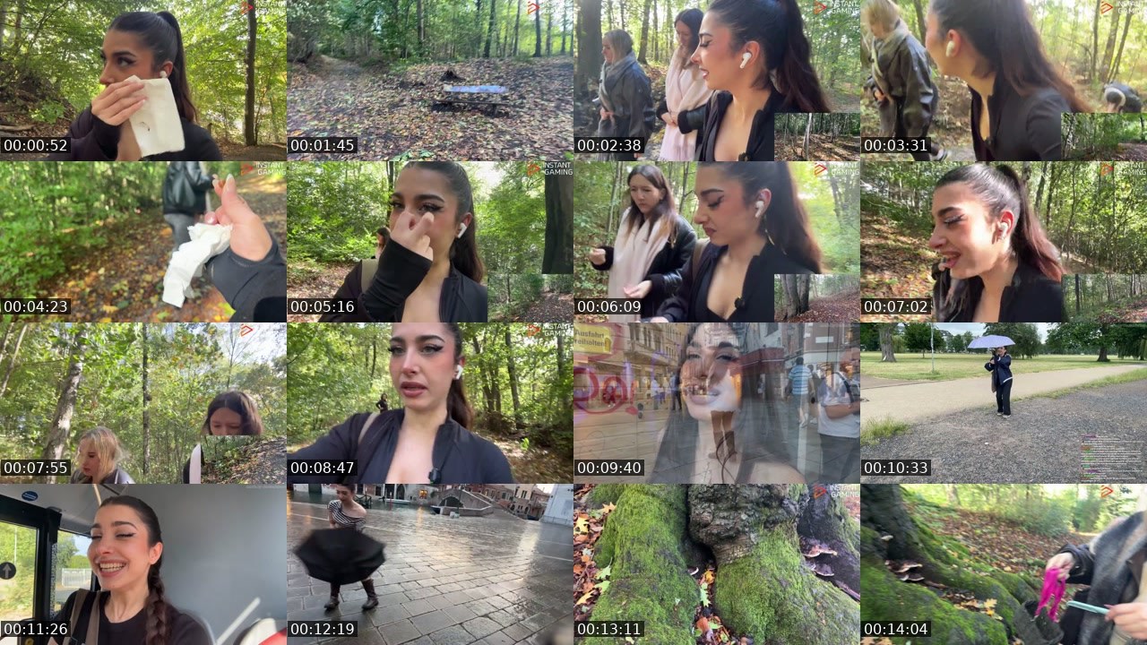 Contact-sheet preview of Naschiitaschii's Twitch recording