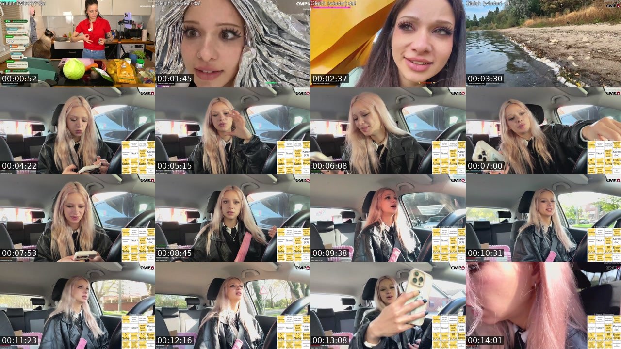 Contact-sheet preview of almostfeline's Twitch recording