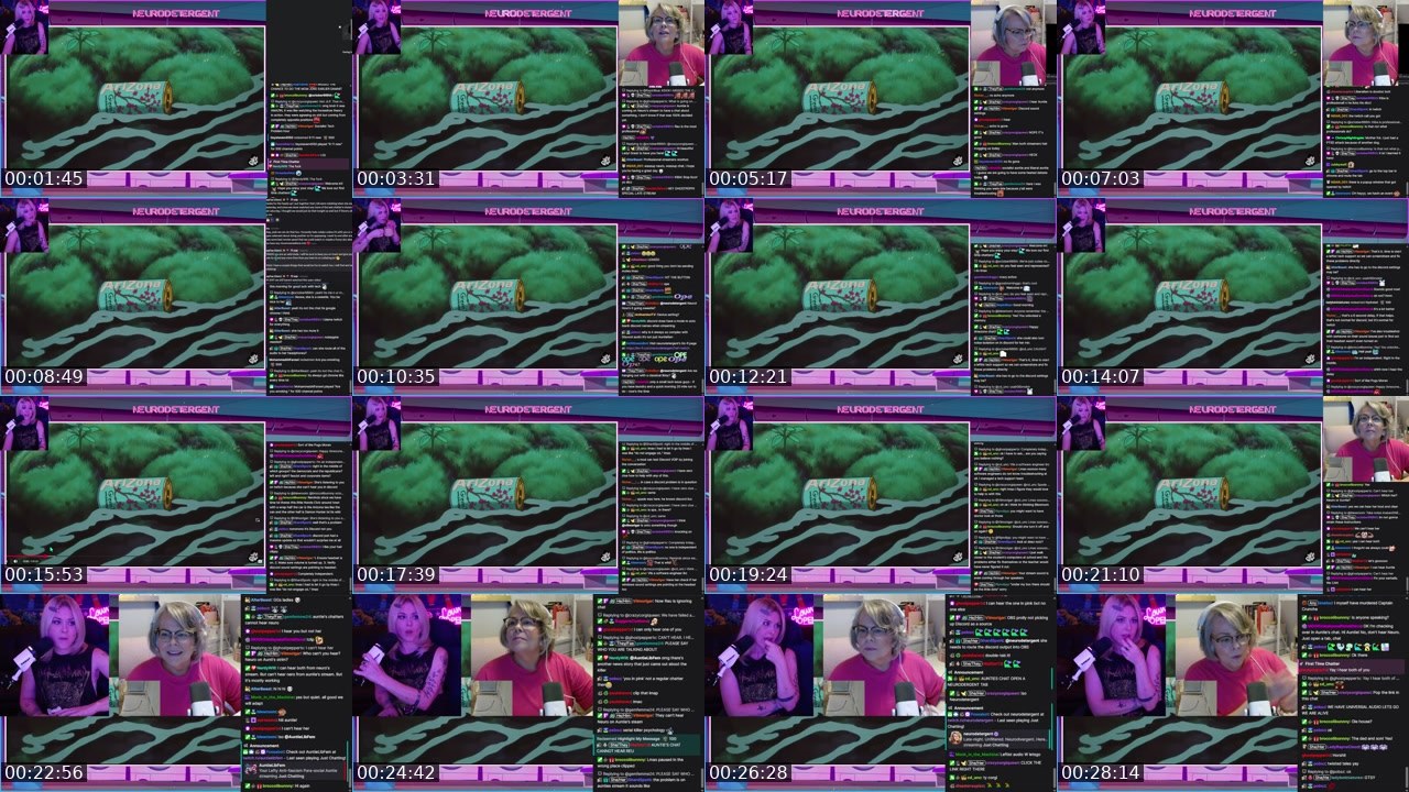 Contact-sheet preview of neurodetergent's Twitch recording
