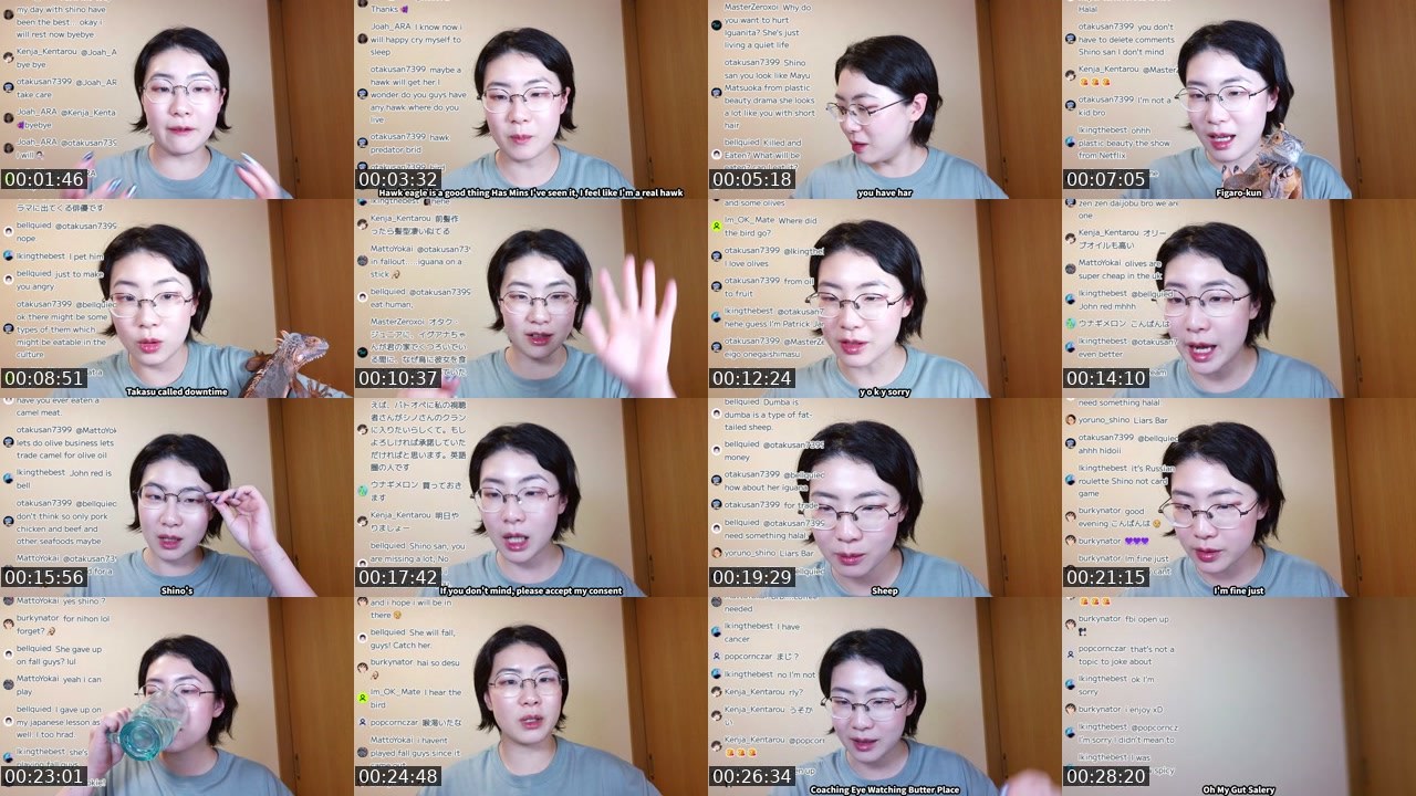 Contact-sheet preview of yoruno_shino's Twitch recording