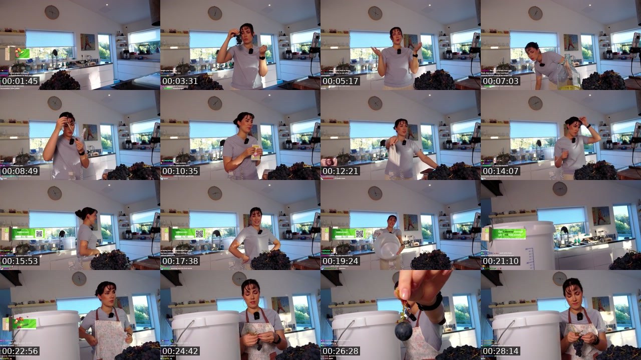 Contact-sheet preview of Yabbe's Twitch recording