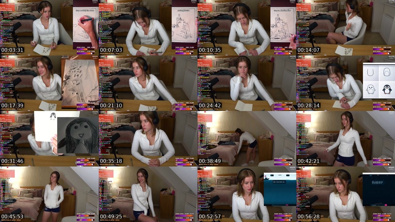 Contact-sheet preview of mira004's Twitch recording