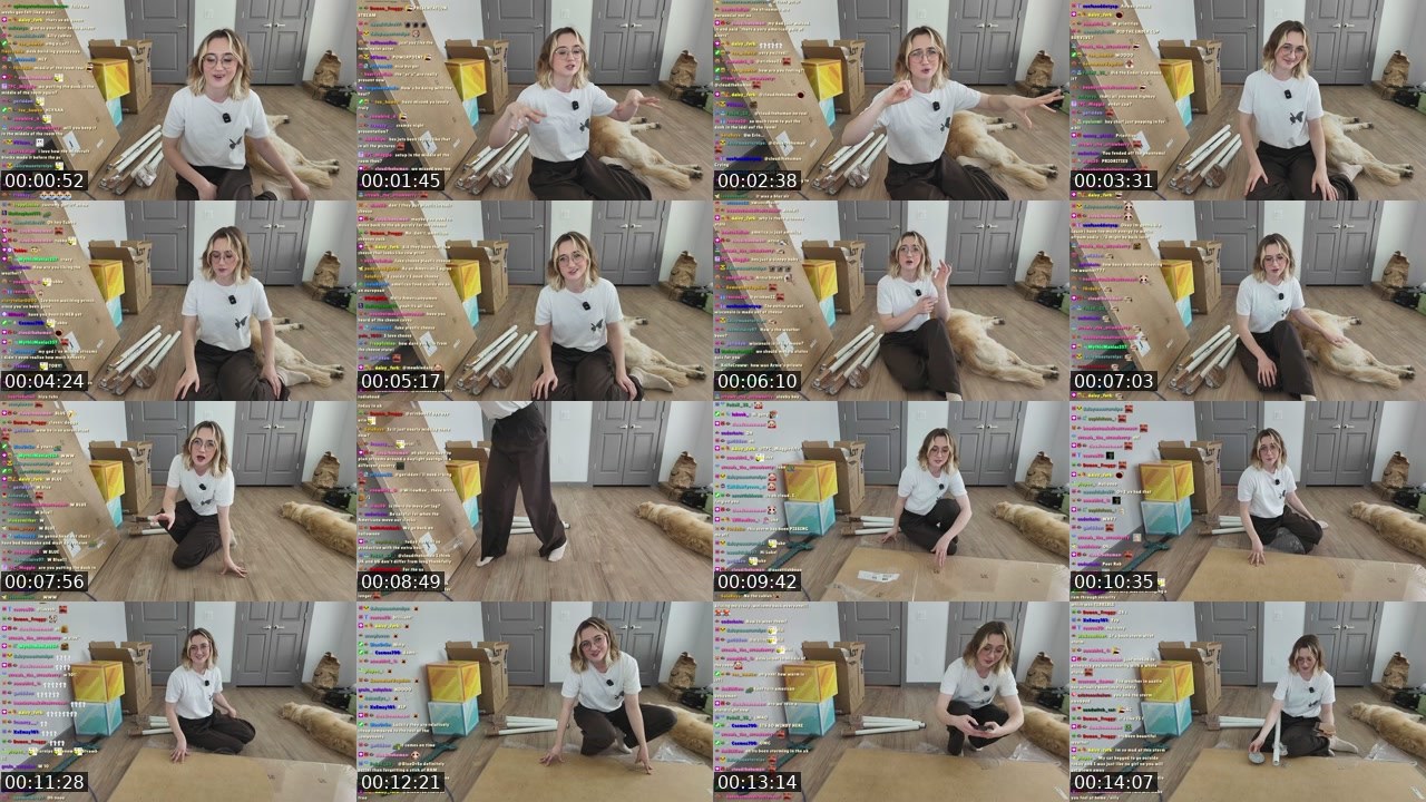 Contact-sheet preview of bekyamon's Twitch recording
