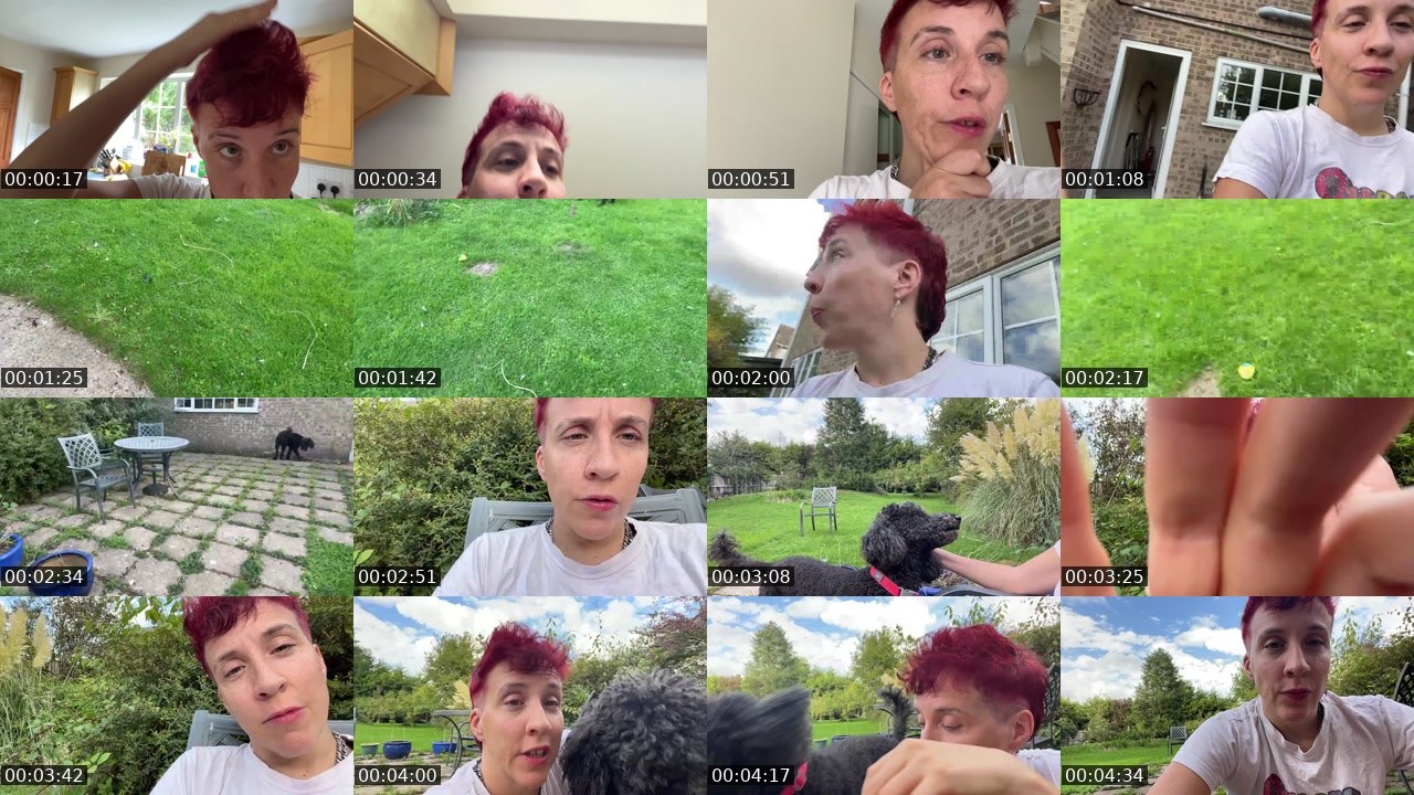 Contact-sheet preview of lesbianhotsauce's Twitch recording