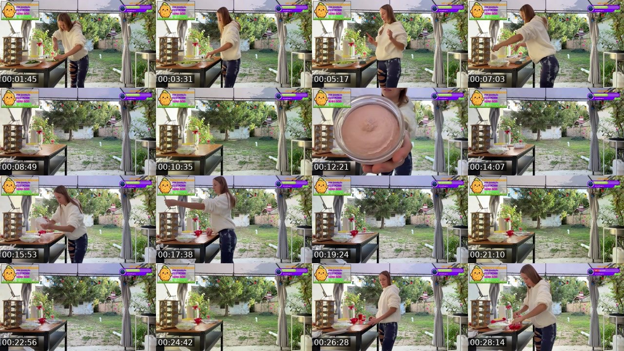 Contact-sheet preview of Gavrilka's Twitch recording
