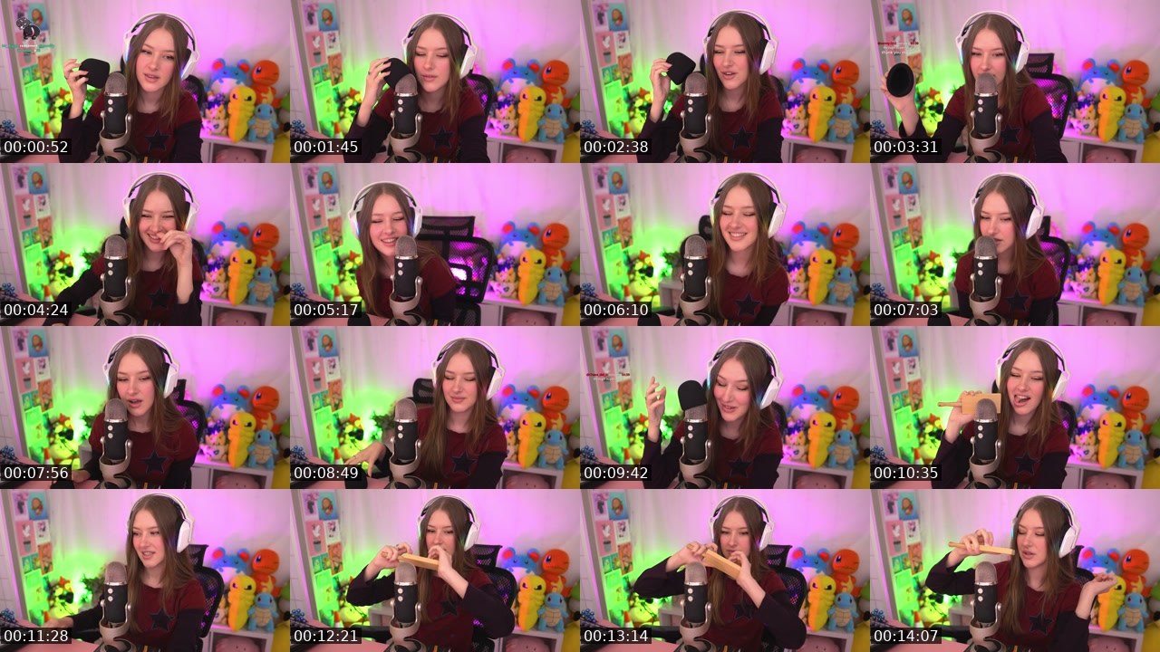 Contact-sheet preview of Diddly's Twitch recording