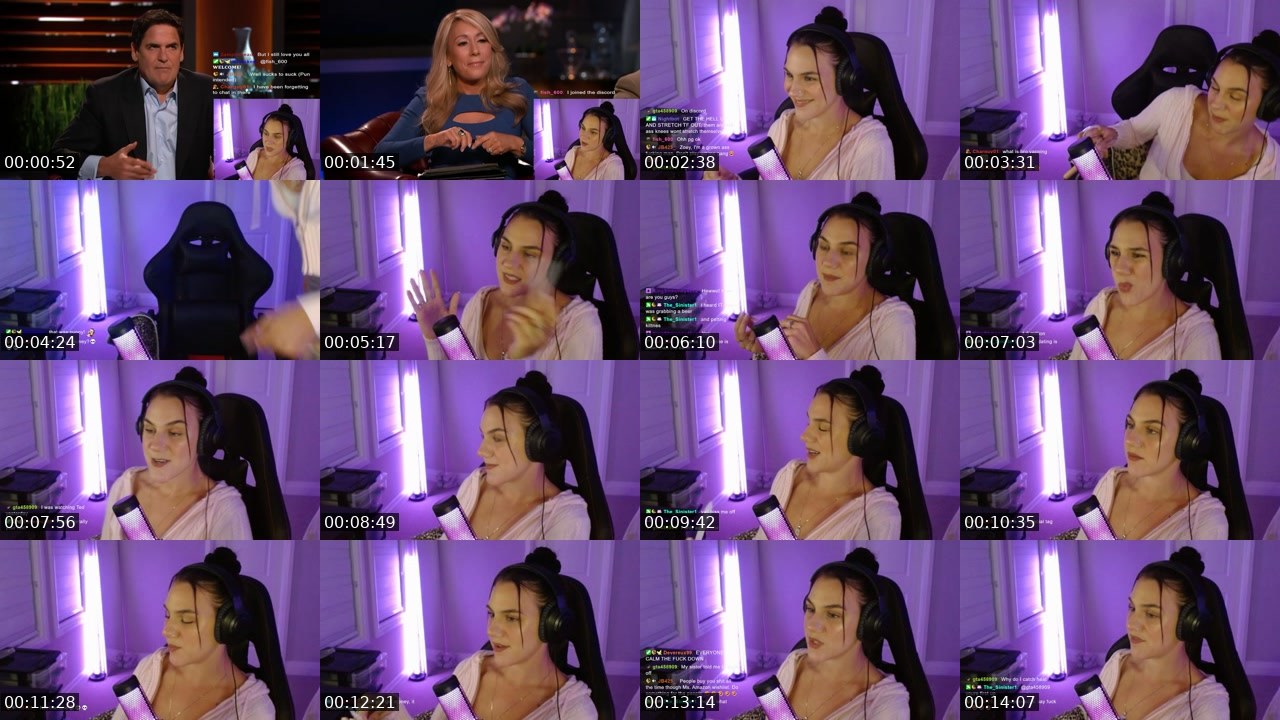 Contact-sheet preview of Zdatsme's Twitch recording