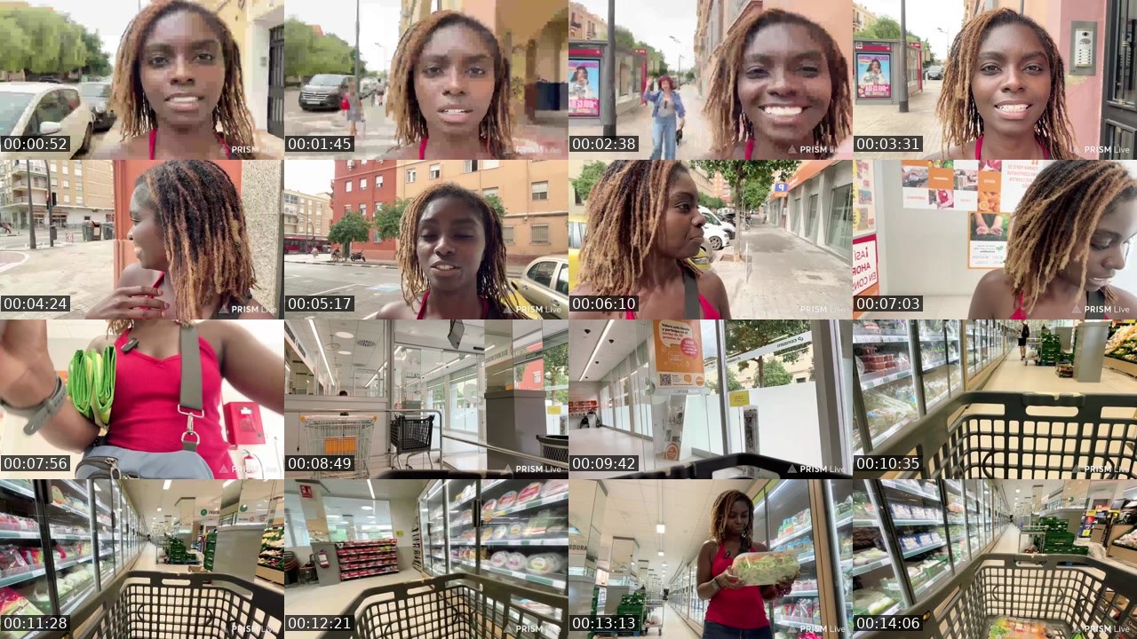 Contact-sheet preview of SlimThiccTravels's Twitch recording