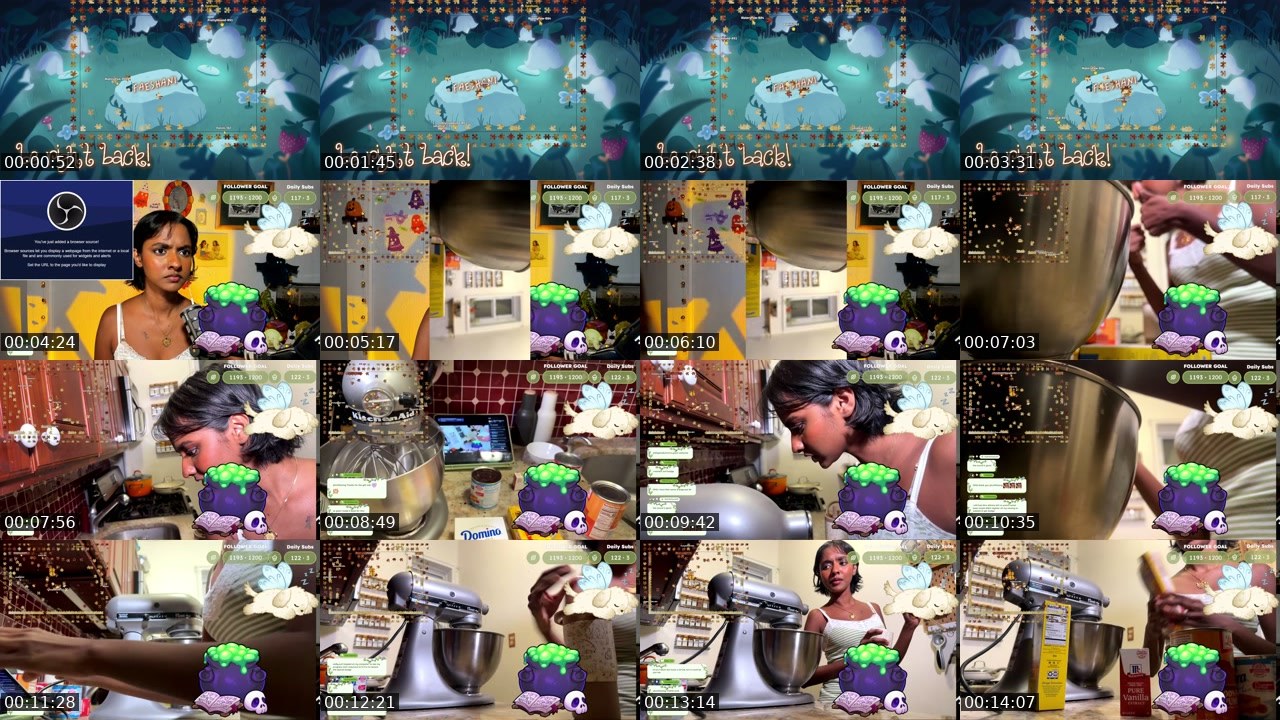 Contact-sheet preview of faeshani's Twitch recording