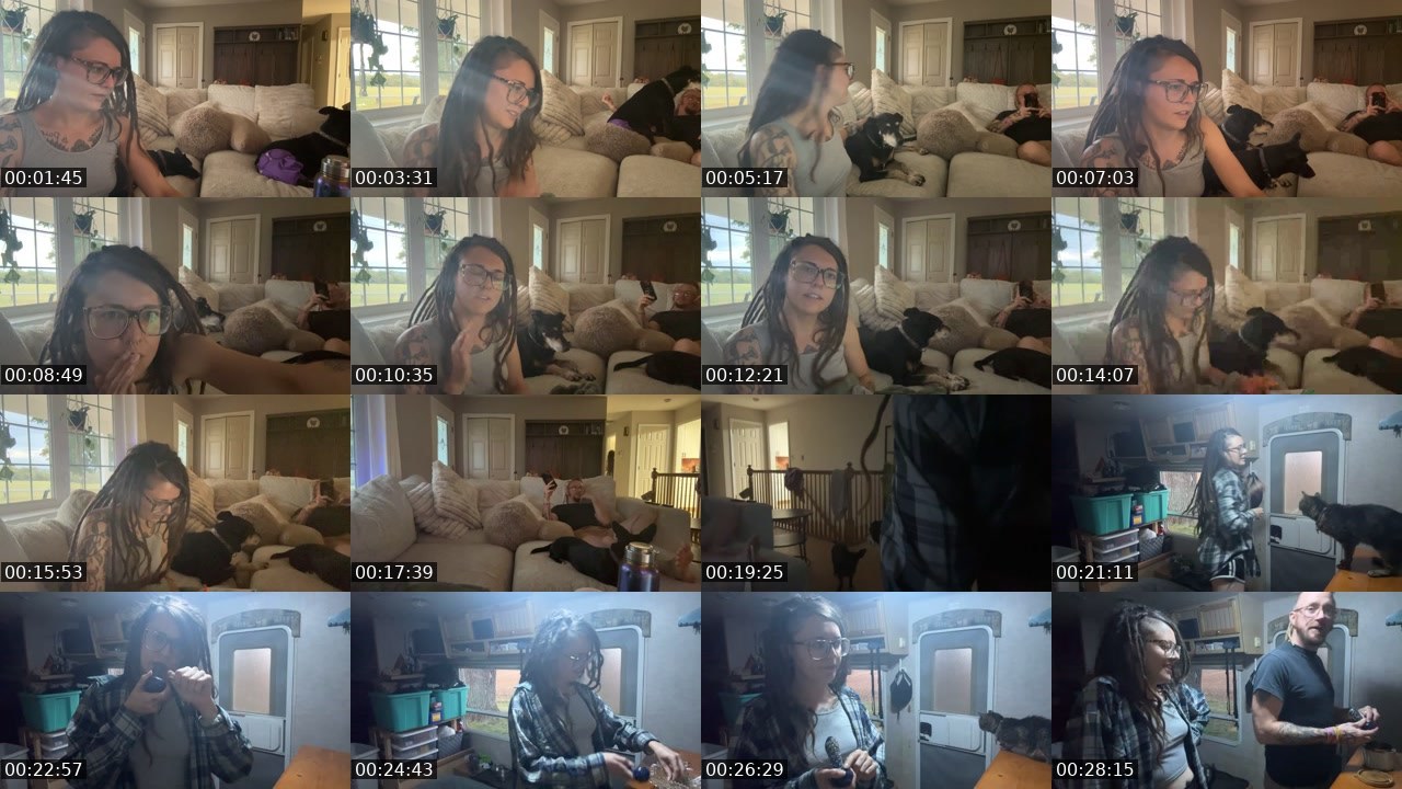 Contact-sheet preview of AlyssaWilds's Twitch recording