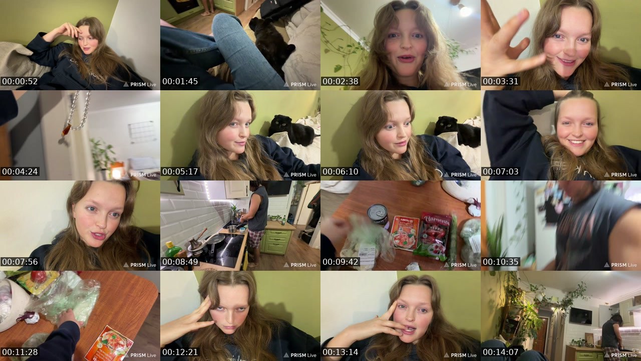 Contact-sheet preview of kris_grizliks's Twitch recording
