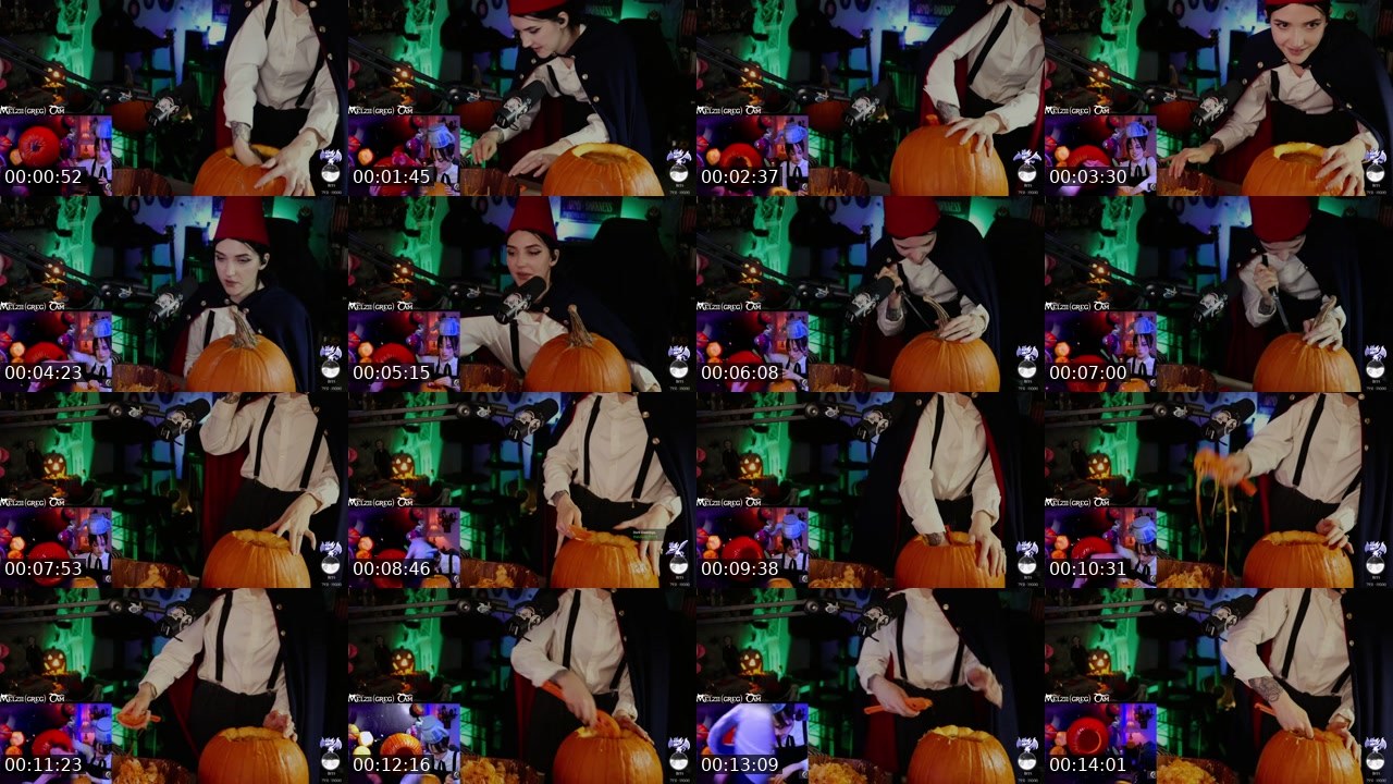 Contact-sheet preview of VVminerva's Twitch recording