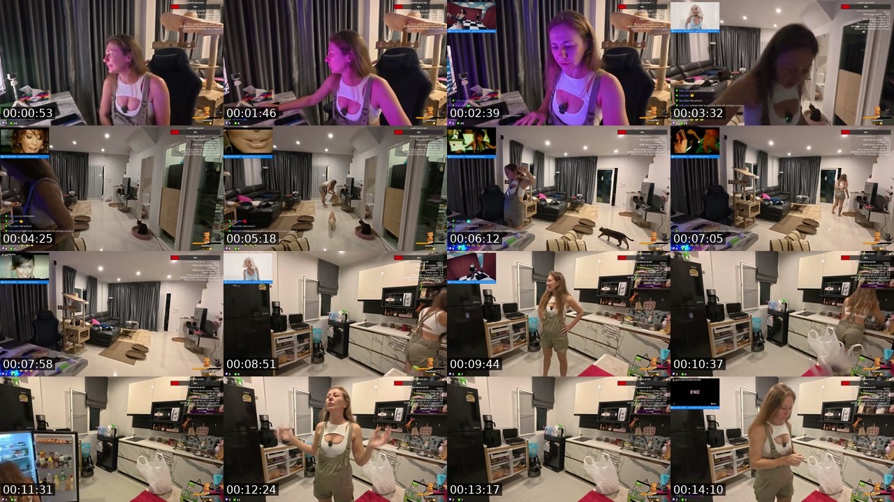 Contact-sheet preview of rodinafromthai's Twitch recording