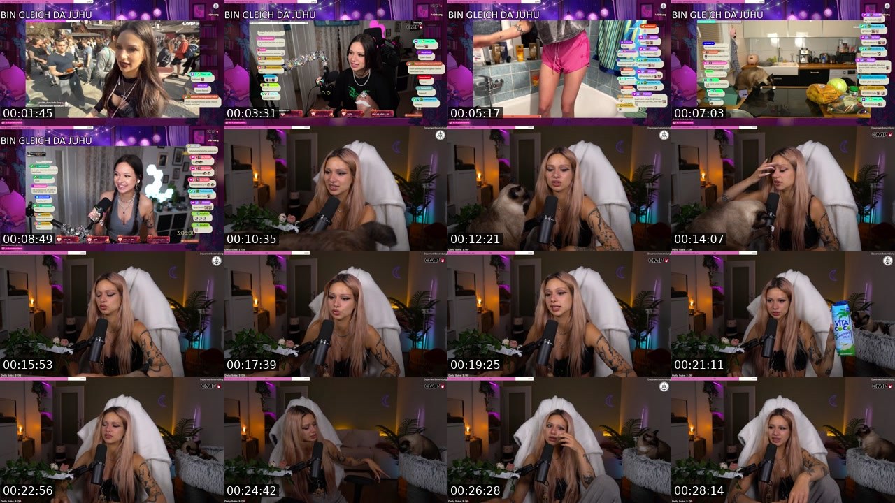 Contact-sheet preview of almostfeline's Twitch recording